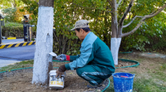 为何选择同花顺股票行情软件作为我的投资利器？